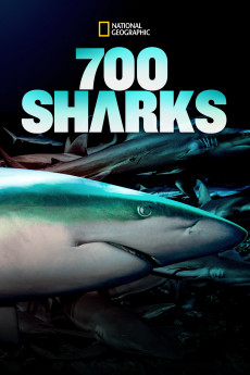 700 requins dans la nuit (2018) Poster