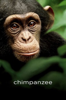 Chimpanzee (2012) Poster