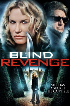 Blind Revenge (2009) Poster