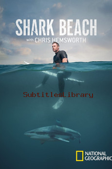 subtitles of Shark Beach with Chris Hemsworth (2021)
