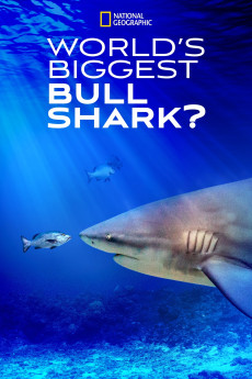 World's Biggest Bull Shark (2021) Poster