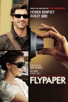 Flypaper (2011) Poster