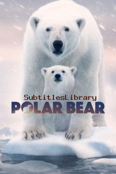 subtitles of Polar Bear (2022)