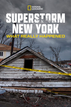 Superstorm New York: What Really Happened (2012) Poster