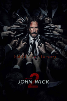 subtitles of John Wick: Chapter 2 (2017)