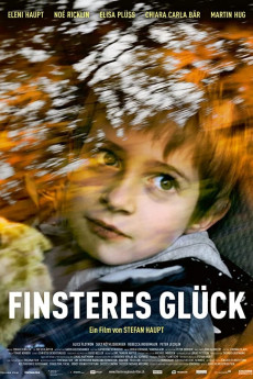 Finsteres Glück (2016) Poster