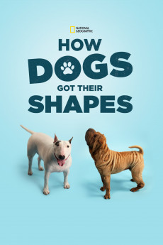 How Dogs Got Their Shapes (2016) Poster