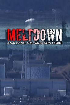 Meltdown: Analyzing the Radiation Leaks (2015) Poster