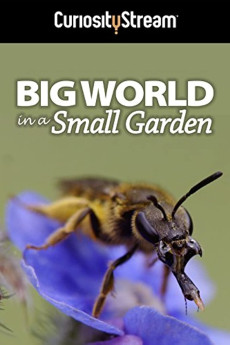 Big World in a Small Garden (2016) Poster